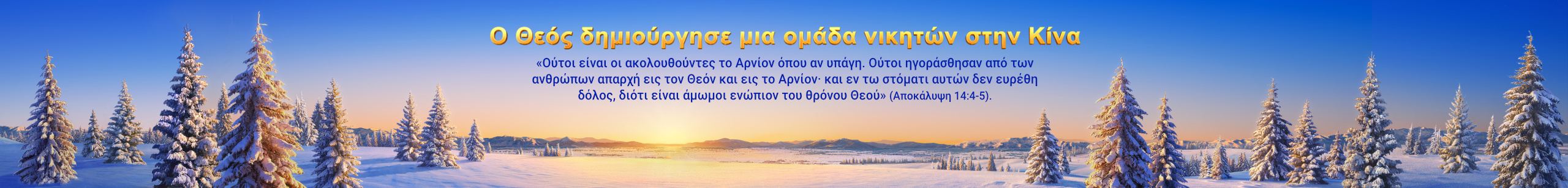 Banner-testimonies-4-pc