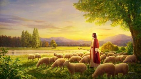 Ο Κύριος Ιησούς φροντίζει το κοπάδι